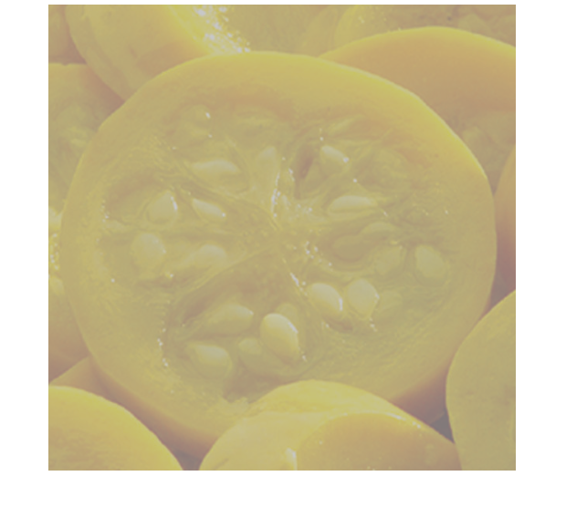 SQUASH YELLOW 1/20#