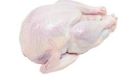 TOM TURKEY 2pc CASE 20/22# 3502