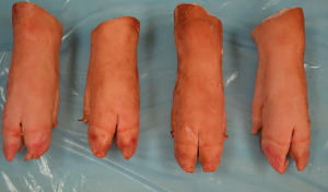 WHOLE  PIG FEET FRONT **WEIGHT**