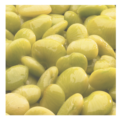 BABY LIMA BEANS F/F 6/28oz
